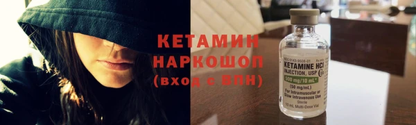 шишки Инсар